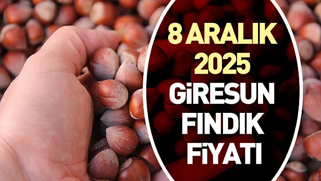 8 Aralık 2025 Giresun Fındık Fiyatı | Haftanın İlk Gününde Piyasa Denge Arıyor