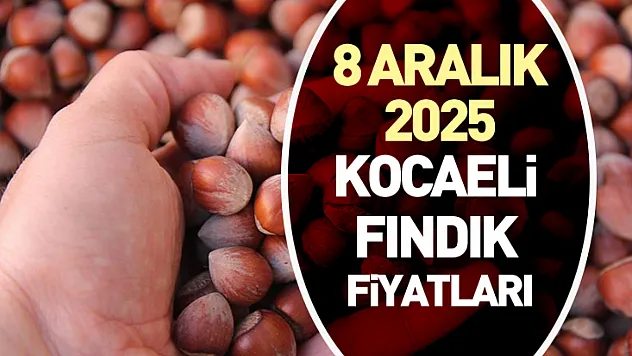 8 Aralık 2025 Kocaeli Fındık Fiyatları | Pazartesi Günü Piyasa Üst Bantta Başladı
