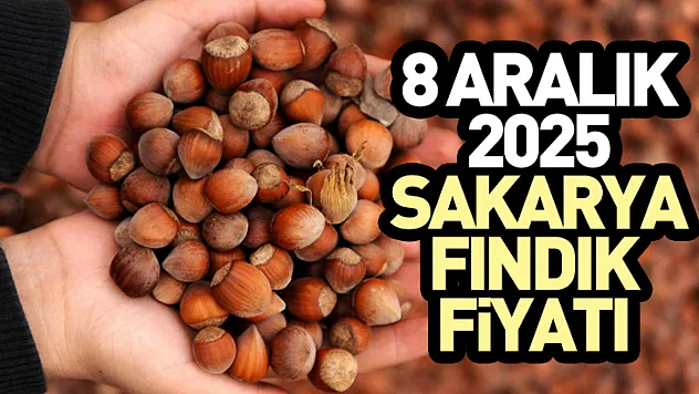 8 Aralık 2025 Sakarya Fındık Fiyatı