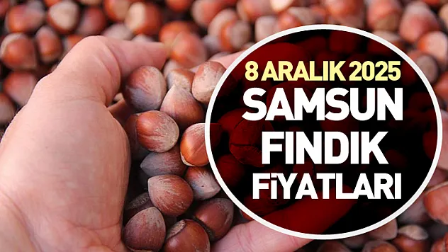 8 Aralık 2025 Samsun Fındık Fiyatları | Pazartesi Günü Piyasada Yön Arayışı Başladı