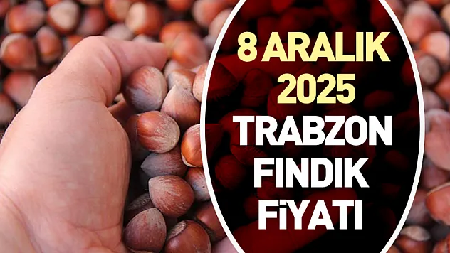 8 Aralık 2025 Trabzon Fındık Fiyatı | Pazartesi Sabahıyla Üst Bantlar Yeniden Hareketlendi