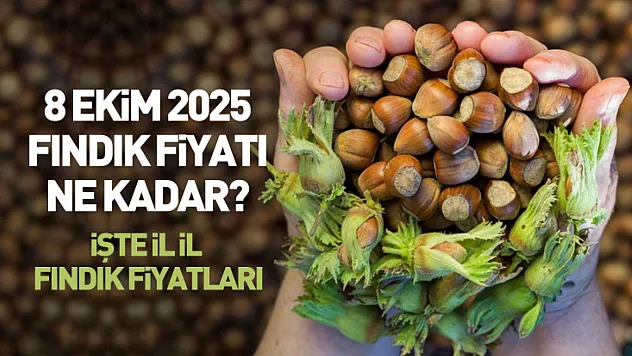 8 Ekim 2025 Fındık Fiyatları Güncellendi: Serbest Piyasada Düşüş İşaretleri