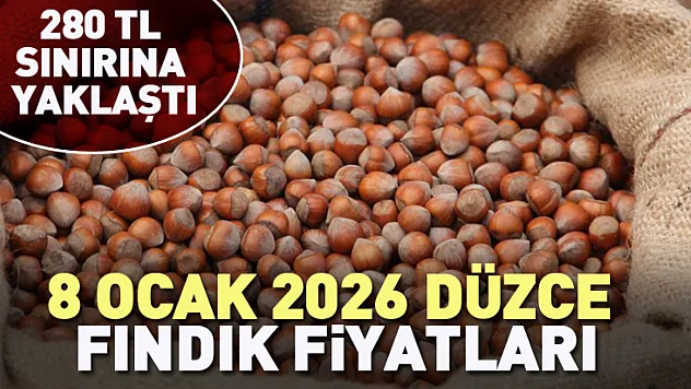 8 Ocak 2026 Düzce'de Fındık Fiyatları 280 TL Sınırına Yaklaştı