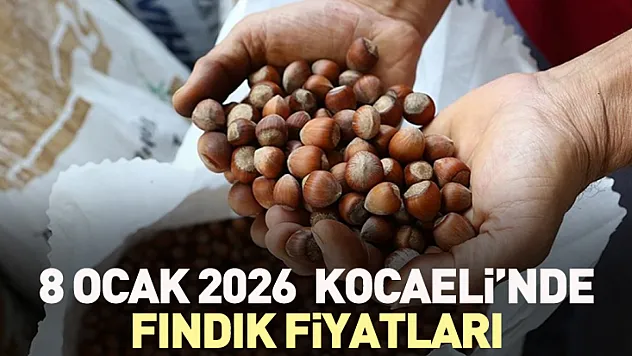 8 Ocak 2026  Kocaeli'nde Fındık Fiyatları 263 TL Seviyelerinde