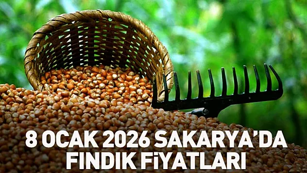 8 Ocak 2026 Sakarya'da Fındık Fiyatları 265 TL seviyesine dayandı