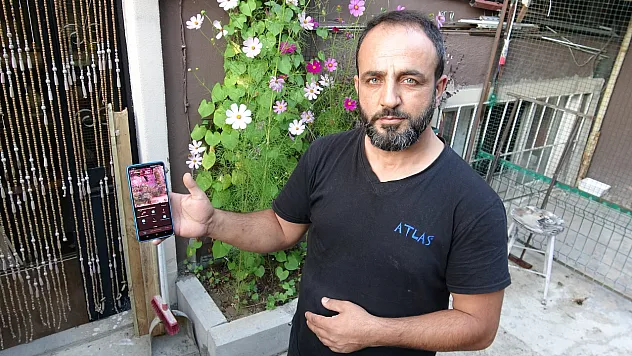 800 bin liralık güvercinlerine özel koruma