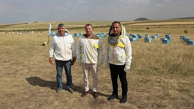 800 ton bal rekoltesi beklentisi