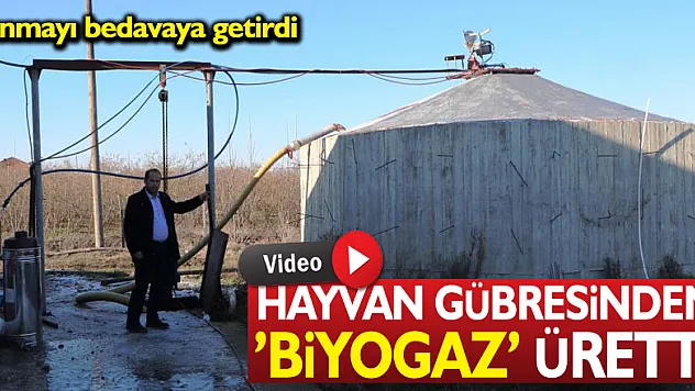 HAYVAN GÜBRESİNDEN BİYOGAZ ÜRETTİ