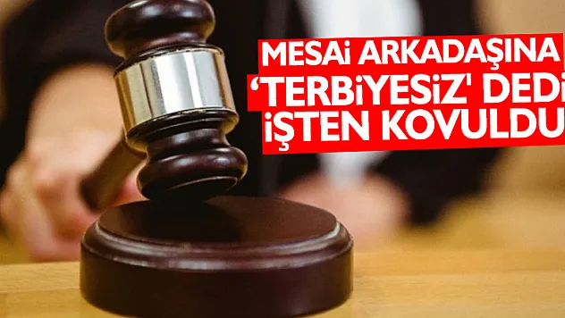 Mesai arkadaşına 'terbiyesiz' dedi işten kovuldu