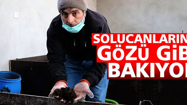  Solucanlarına gözü gibi bakıyor  