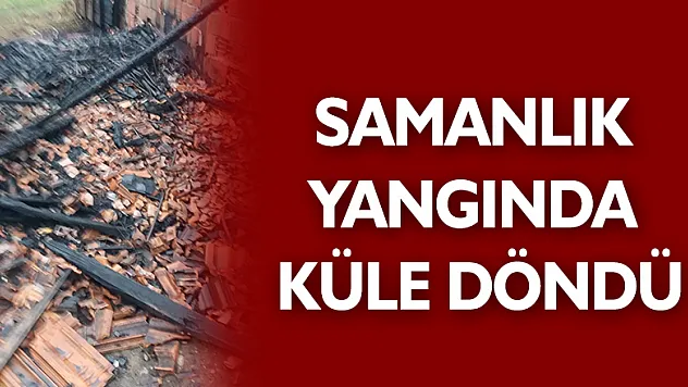 Samanlık yangında küle döndü 