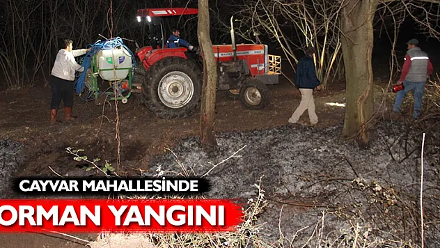 Cayvar Mahallesinde Orman Yangını