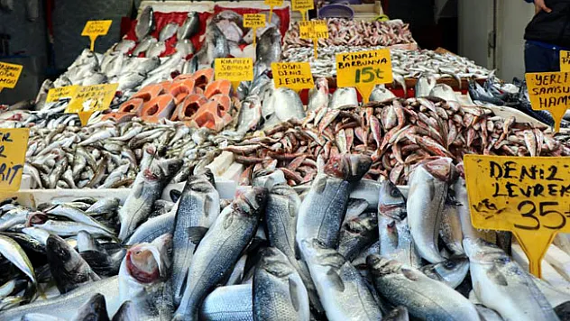 Balığı sıcak çarptı