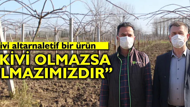 'Kivi olmazsa olmazımızdır'