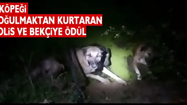 4 köpeği boğulmaktan kurtaran polis ve bekçiye ödül