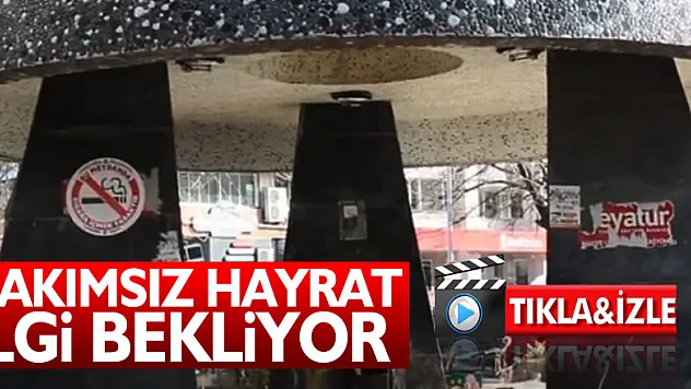 BAKIMSIZ HAYRAT İLGİ BEKLİYOR