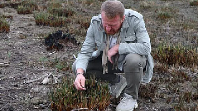Yangında zarar gören 'Kuş Cenneti'nde büyük risk