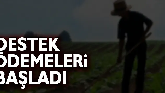 Destek ödemeleri başladı