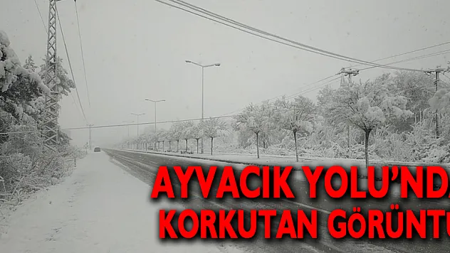 Ayvacık Yolu'nda Korkutan Görüntü!