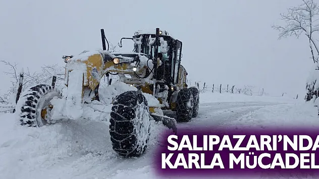 SALIPAZARI'NDA KARLA MÜCADELE