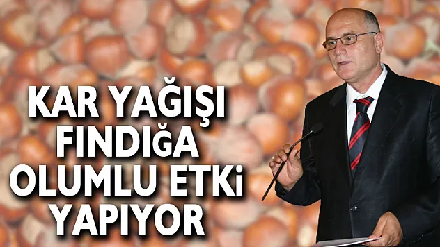 Kar yağışı fındığa olumlu etki yapıyor