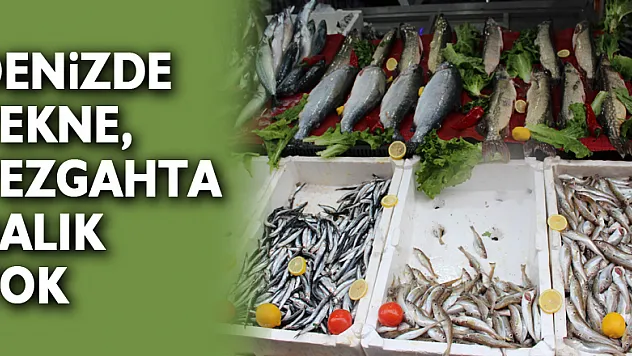 Denizde Tekne, Tezgahta Balık Yok