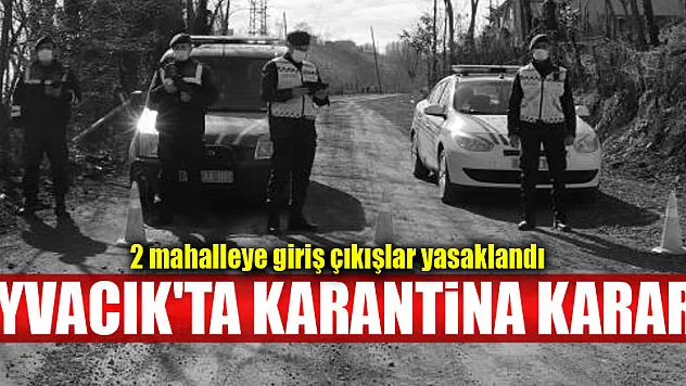 Ayvacık'ta karantina kararı