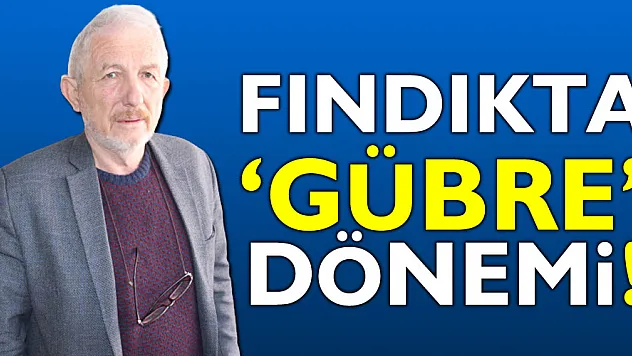 Fındıkta 'gübre' dönemi!