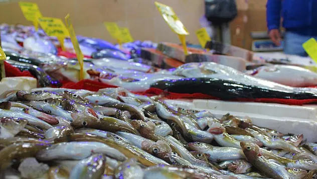 Mezgit 10 TL'lik fiyatıyla tezgahların fenomeni