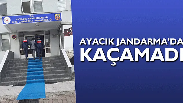Ayacık Jandarma'dan kaçamadı!