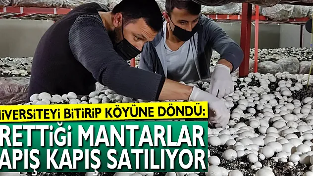 Üniversiteyi bitirip köyüne döndü: Ürettiği mantarlar kapış kapış satılıyor
