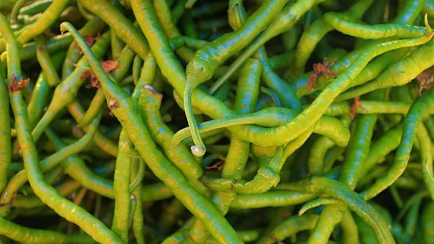 Pazarın şampiyonu kıl biber: Kilosu 30 TL 