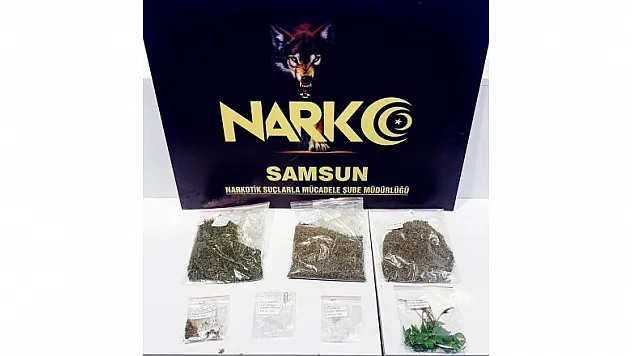 Samsun'da uyuşturucu ticaretinden 2 kişi gözaltına alındı 