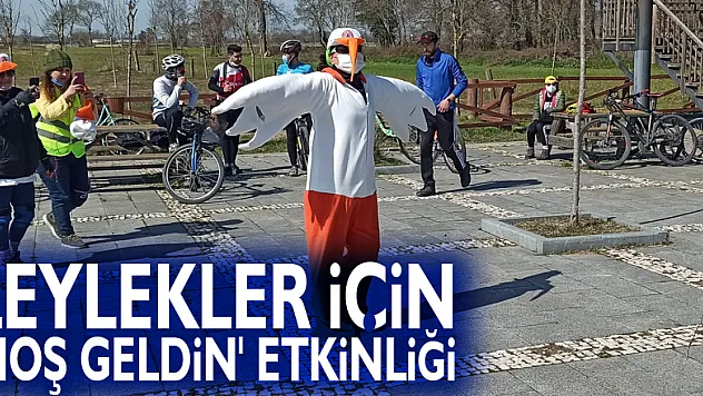 7 bin kilometre yol kat edip gelen leylekler için 'hoş geldin' etkinliği