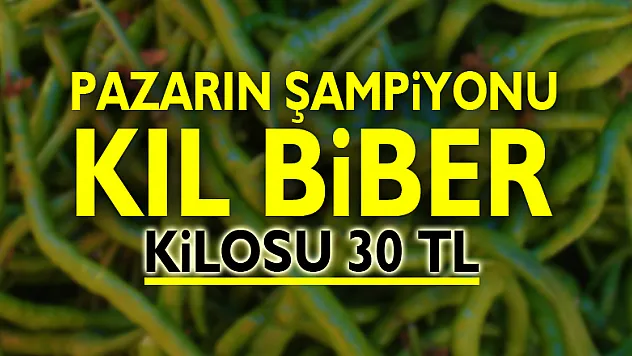 Pazarın şampiyonu kıl biber: Kilosu 30 TL