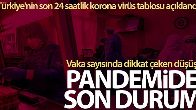 Korona virüste dikkat çeken rakamlar!