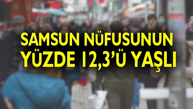 Samsun nüfusunun yüzde 12,3'ü yaşlı