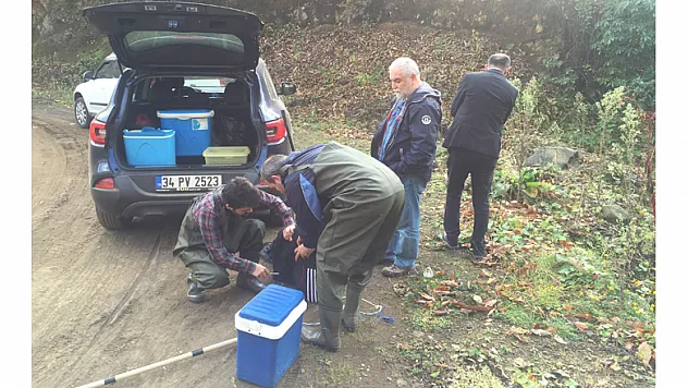 Türk akademisyenler 5 yeni parazit keşfetti