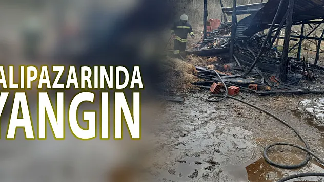 SALIPAZARINDA YANGIN