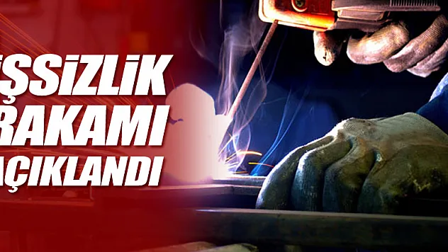 TÜİK, işsizlik rakamlarını açıkladı