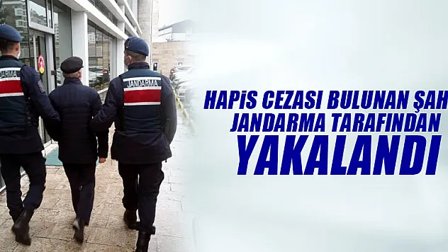 Hapis cezası bulunan şahıs jandarma dedektifleri tarafından yakalandı