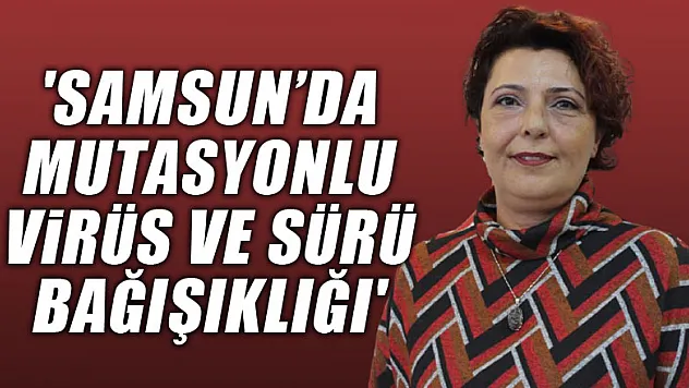 'Samsun'da mutasyonlu virüs ve sürü bağışıklığı'