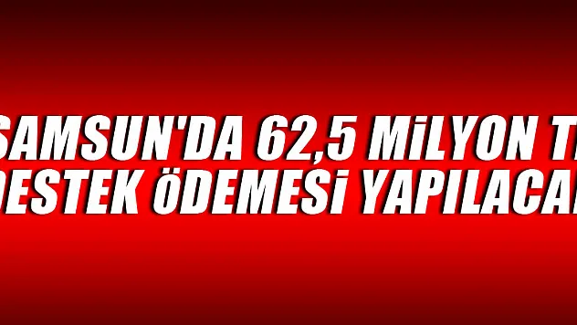 Samsun'da 62,5 milyon TL mazot ve gübre desteği ödemesi yapılacak