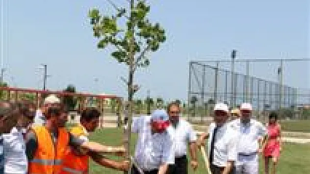 SAMSUN-NOVROSİSYK KARDEŞLİĞİ