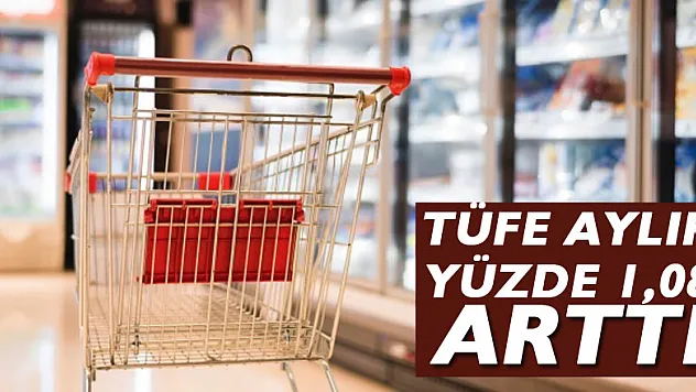 TÜFE aylık yüzde 1,08 arttı