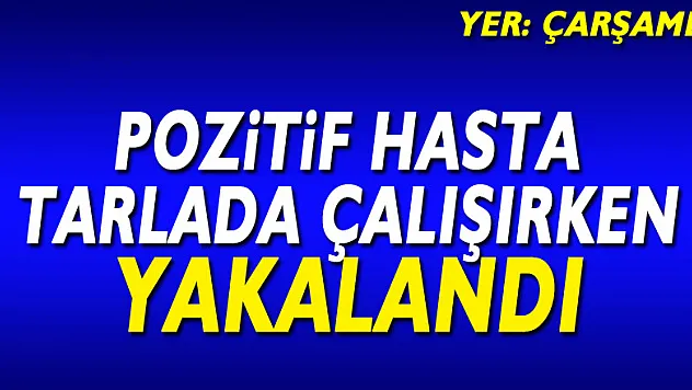 Pozitif hasta tarlada çalışırken yakalandı!