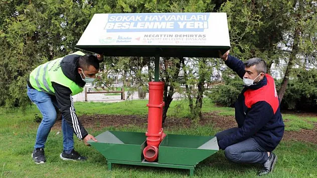 İlkadım'da sokak hayvanları unutulmadı