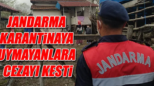 Jandarma Karantinaya Uymayanlara Cezayı Kesti