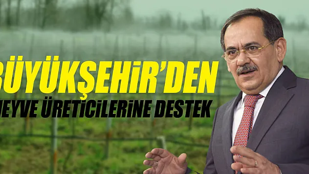Büyükşehir'den meyve üreticilerine destek