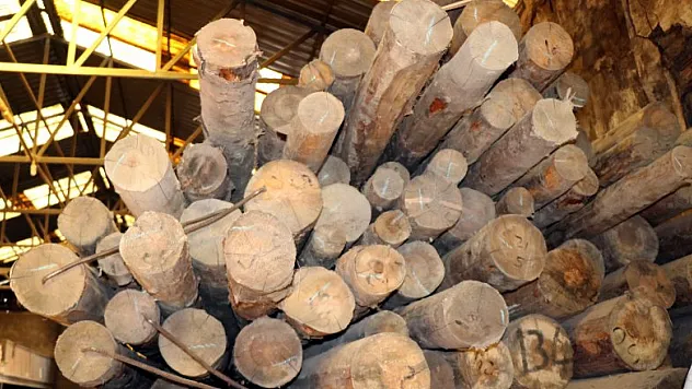 Korona salgını dünyada ahşaba olan talebi arttırdı, fiyatlar arttı 